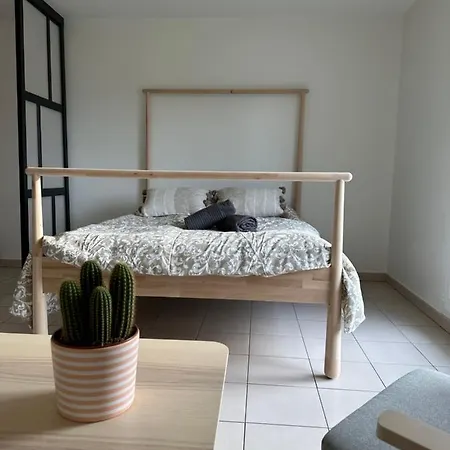 Grand Cozy Lumineux Apartment *