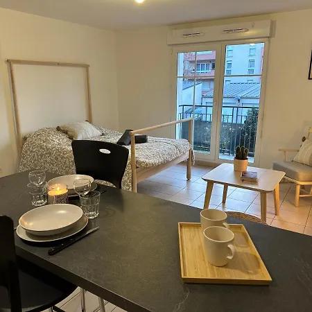 Grand Cozy Lumineux Apartment *