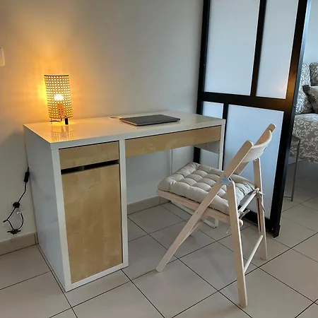 Grand Cozy Lumineux Apartment *