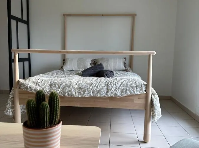 Grand Cozy Lumineux Apartment *