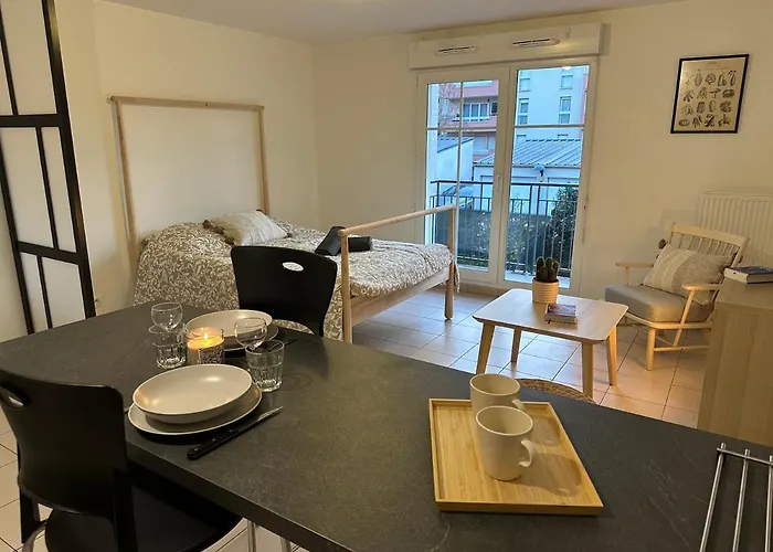 Grand Cozy Lumineux Apartment *